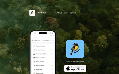 coereba.com snapshot