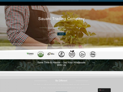 sauanis.com snapshot