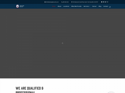 alphaeaglesecurity.com snapshot