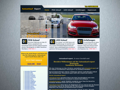 autoankauf-export.net snapshot