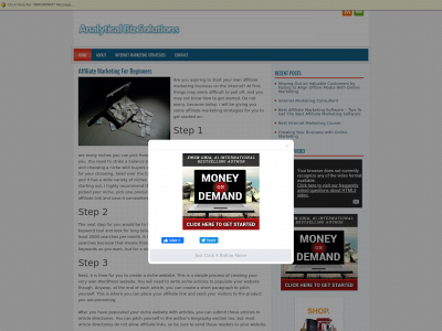 analyticalbizsolutions.com snapshot