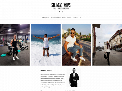 stilingasvyras.lt snapshot