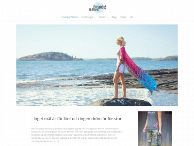 dreambigwellness.se snapshot