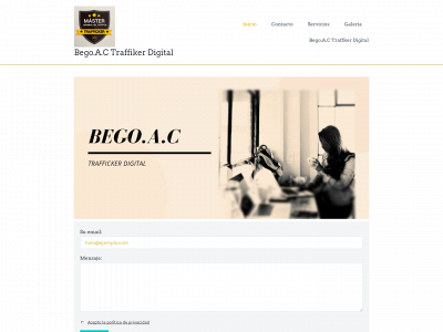 begoactraffikerdigital.es snapshot