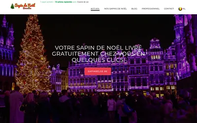 sapindenoelbruxelles.be snapshot