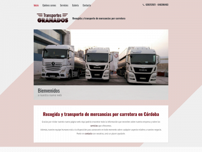 transportesgranadospalma.es snapshot