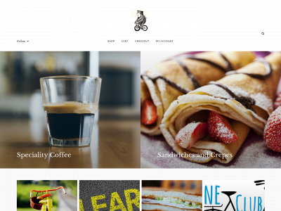 bicicafe.co snapshot