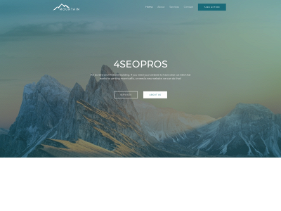 4seopros.com snapshot