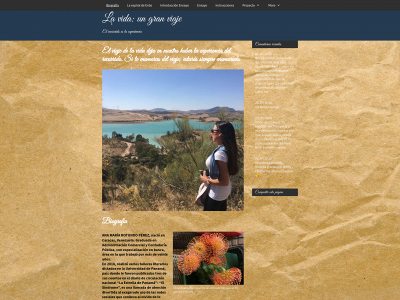 elalmanotienegenero.com snapshot