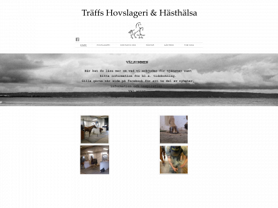 traffhovslageri.org snapshot