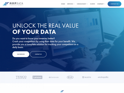 deepdataconsultancy.com snapshot