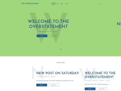 theoverstatement.com snapshot