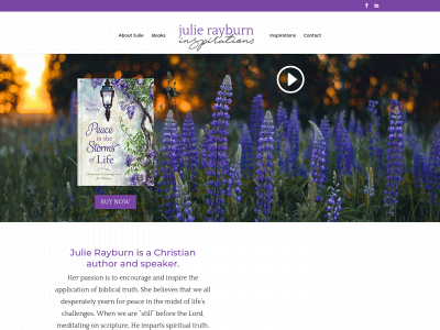 www.julierayburn.com snapshot