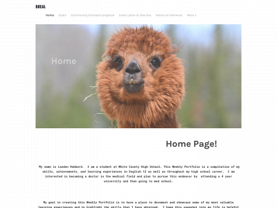landonhubbard.weebly.com snapshot