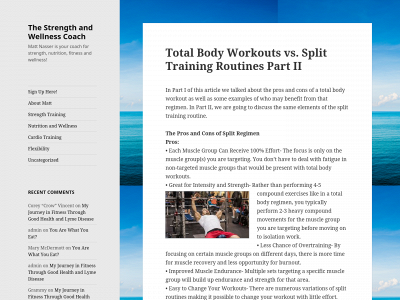 strengthandwellnesscoach.com snapshot