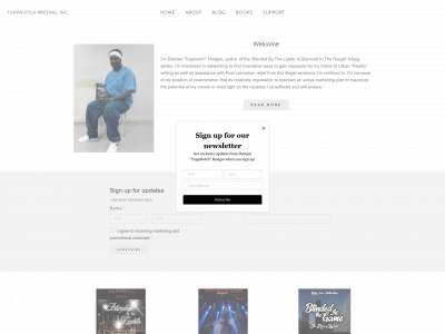 www.toppnotchwritinginc.com snapshot