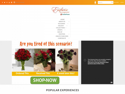 candleroses.com snapshot