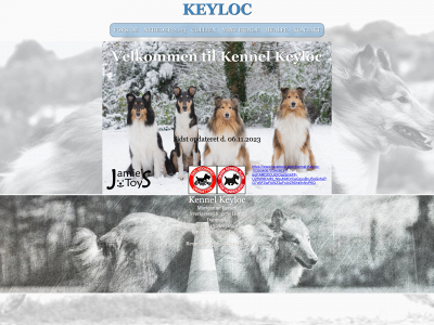 keyloc.dk snapshot