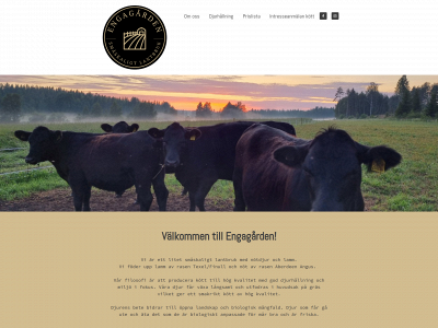 engagarden.se snapshot