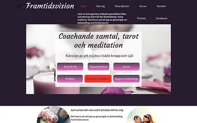 framtidsvision.com snapshot