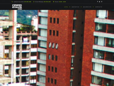 compracespedsintetico.com snapshot