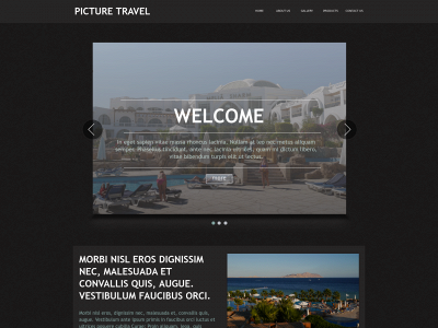 picturetravel.co.uk snapshot