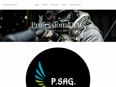 professionalsag.weebly.com snapshot
