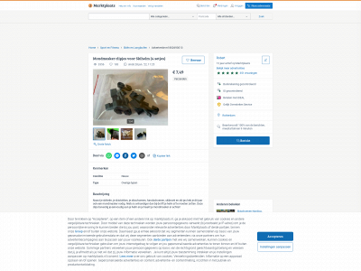 skiclips.nl snapshot