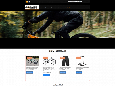 testsite.orangecycleparts.com snapshot