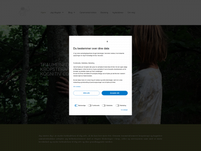 rikkebrunner.com snapshot