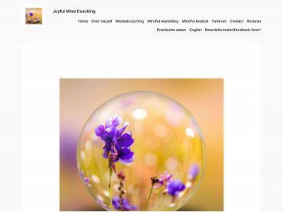 joyfulmindcoaching.eu snapshot