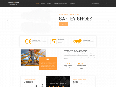protektosafety.com snapshot