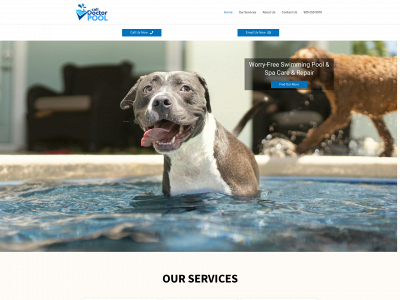 calldoctorpool.com snapshot