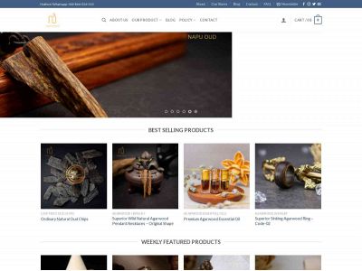 napuoud.com snapshot