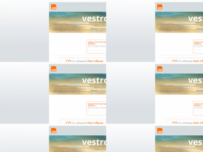 vestro.co snapshot