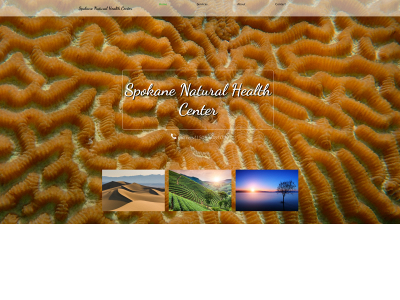 spokanenaturalhealthcenter.com snapshot