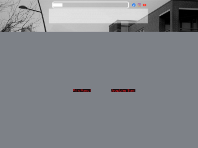 cvdepankes.nl snapshot