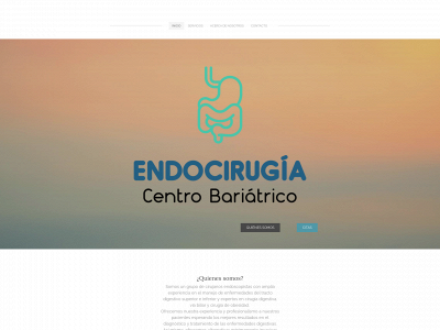 www.endo-cirugia.com snapshot