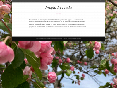 insightbylinda.com snapshot