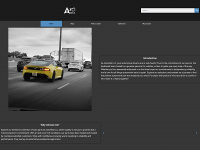 auto-bits.com snapshot