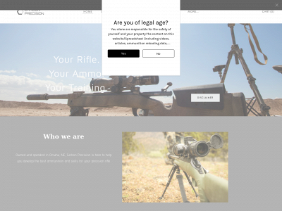 www.carbonprecision.com snapshot