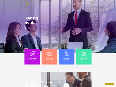 togetherconsultancy.com snapshot