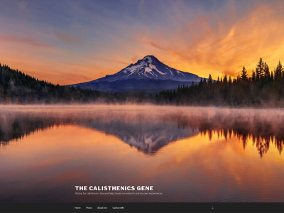 thecalisthenicsgene.com snapshot