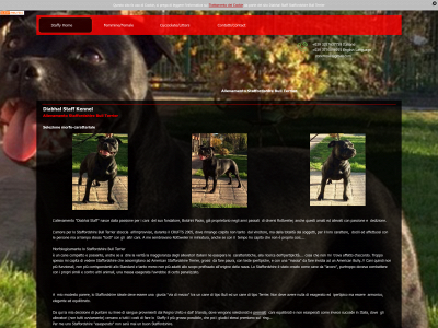 www.diabhal-staff.it snapshot