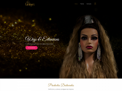 carolgees.com snapshot