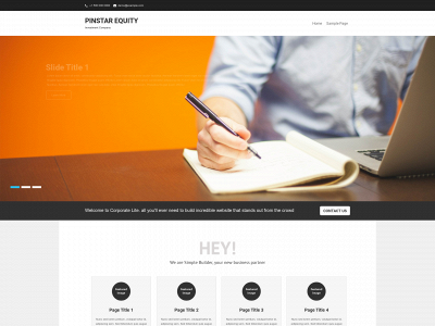 pinstarequity.com snapshot