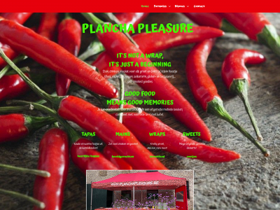 planchapleasure.be snapshot