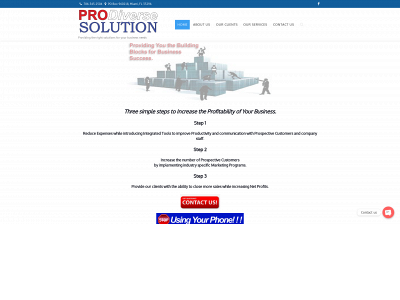 www.prodiversesolution.com snapshot