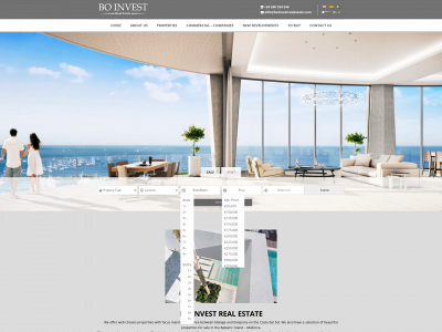 boinvestrealestate.com snapshot