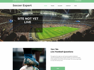 soccerexpert.co.uk snapshot